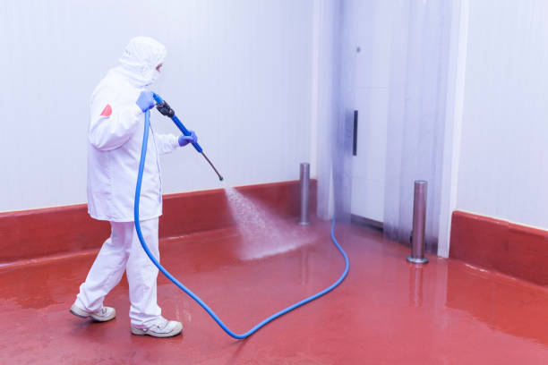 Best Parking Lot and Garage Cleaning  in Shandon, CA